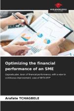Optimizing the financial performance of an SME af Arafate Tchagbele
