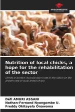 Nutrition of local chicks, a hope for the rehabilitation of the sector af Défi Amuri Assani