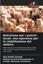 Nutrizione per i pulcini locali, una speranza per la riabilitazione del settore af Défi Amuri Assani