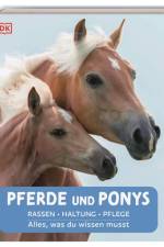 Pferde und Ponys