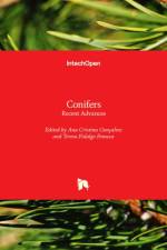 Conifers af Ana Cristina Gonçalves