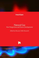Natural Gas af Maryam Takht Ravanchi