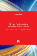 Bridge Optimization