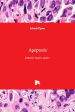 Apoptosis af JUSTINE RUDNER