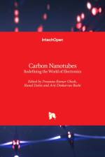 Carbon Nanotubes af Prasanta Ghosh