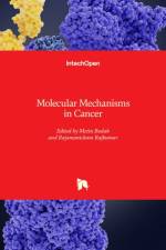 Molecular Mechanisms in Cancer af Metin Budak
