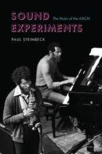 Sound Experiments af Paul Steinbeck