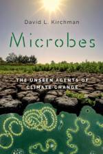 Microbes af David L. (Maxwell P. and Mildred H. Harrington Professor of Marine Studies Kirchman
