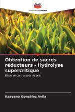 Obtention de sucres réducteurs - Hydrolyse supercritique af Itzayana González Avila