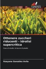 Ottenere zuccheri riducenti - Idrolisi supercritica af Itzayana González Avila