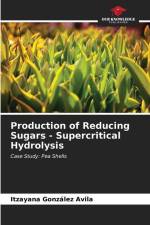 Production of Reducing Sugars - Supercritical Hydrolysis af Itzayana González Avila