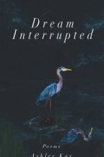 Dream Interrupted af Ashley Kay