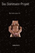 Das Stahlmann-Projekt af Karin Fruth