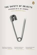 The Safety of Objects af A M Homes