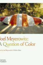 Joel Meyerowitz: A Question of Color af Joel Meyerowitz