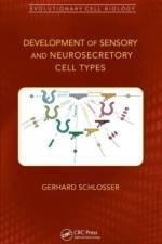 Development of Sensory and Neurosecretory Cell Types af Gerhard Schlosser