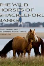 Wild Horses of Shackleford Banks af Carmine Prioli