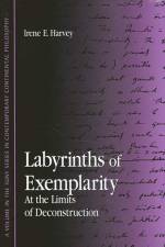 Labyrinths of Exemplarity: At the Limits of Deconstruction
