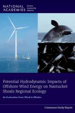 Potential Hydrodynamic Impacts of Offshore Wind Energy on Nantucket Shoals Regional Ecology: An Evaluation from Wind to Whales af National Academies Of Sciences Engineeri