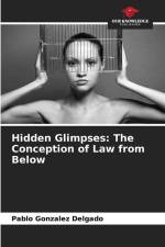 Hidden Glimpses: The Conception of Law from Below af Pablo Gonzalez Delgado