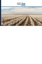 Agrotechnology of Deep Tillage of Cotton Plant af Surayyo Teshaevna Negmatova