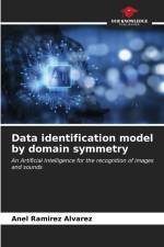 Data identification model by domain symmetry af Anel Ramirez Alvarez