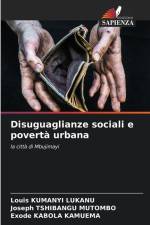 Disuguaglianze sociali e povertà urbana af Louis Kumanyi Lukanu