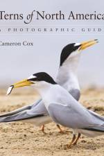 Terns of North America af Cameron Cox
