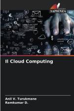Il Cloud Computing af Anil V. Turukmane