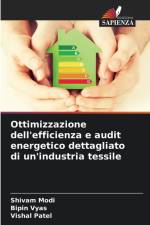 Ottimizzazione dell'efficienza e audit energetico dettagliato di un'industria tessile af Shivam Modi