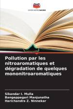 Pollution par les nitroaromatiques et dégradation de quelques mononitroaromatiques af Sikandar I. Mulla