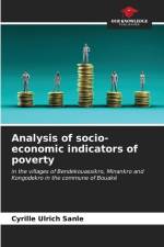 Analysis of socio-economic indicators of poverty af Cyrille Ulrich Sanle