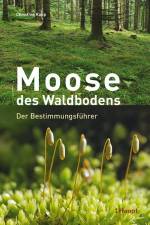 Moose des Waldbodens af Christine Rapp