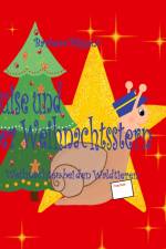 Luise und der Weihnachtsstern