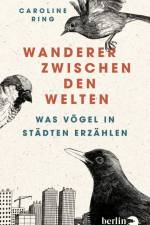 Wanderer zwischen den Welten af Caroline Ring