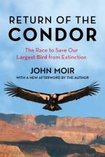 Return of the Condor af John Moir