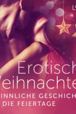 Erotische Weihnachten: 12 sinnliche Geschichten für die Feiertage