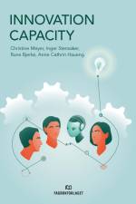 Innovation capacity af Christine B. Meyer