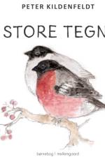 Den store tegnebog af Peter Kildenfeldt
