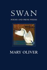 Swan