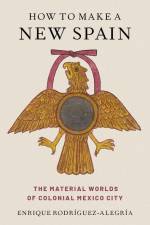 How to Make a New Spain af Enrique Rodríguez-Alegría