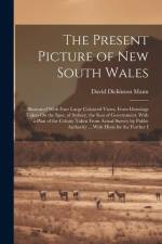 The Present Picture of New South Wales af David Dickinson Mann