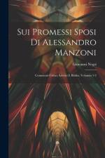 Sui Promessi Sposi Di Alessandro Manzoni af Giovanni Negri