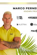 100 Ideas for Automated, Passive Income af Marco Perner