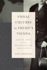 Visual Culture in Freud's Vienna