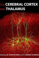 The Cerebral Cortex and Thalamus af W Martin Usrey