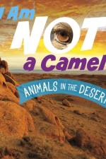 I Am Not a Camel