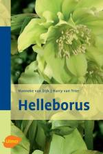 Helleborus af Hanneke van Dijk