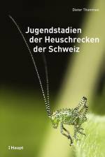 Jugendstadien der Heuschrecken der Schweiz af Dieter Thommen
