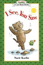 I See, You Saw af Nurit Karlin